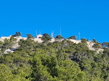 Tour Wandern Toulon - Le Faron centre  - Photo