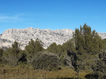 Excursión Senderismo Beaurecueil - Beaurecueil Cengle par le pas de la Lèbre - Photo