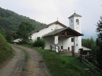 Percorso A piedi Mezzenile - IT-205 - Photo