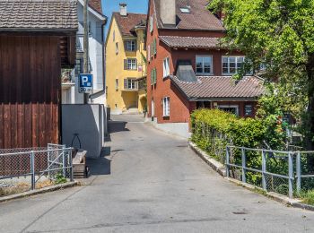 Tour Zu Fuß Beromünster - Schwarzenbach - Beromünster - Photo