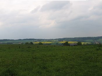 Excursión A pie Rödinghausen - A7 Nonnenstein - Photo