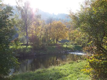 Tocht Te voet Dättlikon - Dättlikon - Schartenflue - Photo