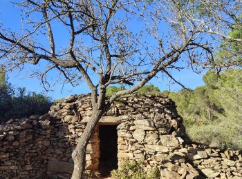 Trail Walking Caunes-Minervois - la carrière du Roy - Photo