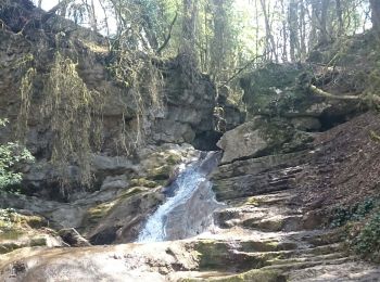 Trail Walking Chambéry - Cascades de Jacob  - Photo