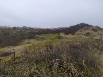 Percorso Marcia Wimereux - Wimereux dunes de la sclak - Photo