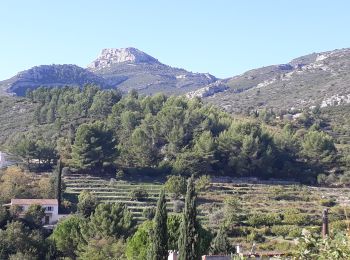 Tour Wandern Roquevaire - Garlaban au départ de Lascours  - Photo