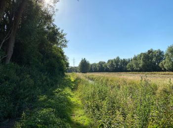 Randonnée Marche Vilvorde - Vilvorde 7,6 Km  - Photo