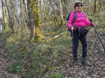 Tour Wandern Ardiège - Depart Ardiege cap de la picote ,crete de Huntous,les arrousses plombières 2 le 06 Mars 2024 avec  eve - Photo