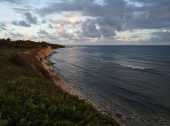 Randonnée Marche Sainte-Anne - Pointe du Helleux - Bois Jolan - Photo