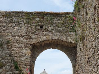 Randonnée Marche Regnéville-sur-Mer - Regnéville 50 - Photo