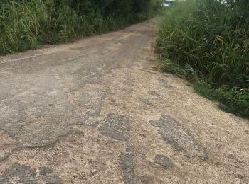 Tocht Trail Anse-Bertrand - Anse Bertrand porte d’enfer  - Photo