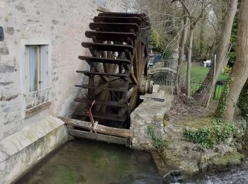 Percorso Marcia Étampes - marais de  vojuan - Photo