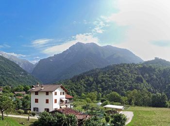 Trail On foot Belluno - IT-506 - Photo