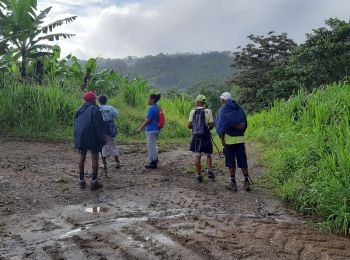 Tour Wandern Le Lorrain - Rando Bananeraie La Rougerie - Photo