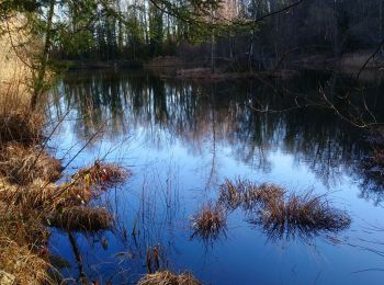 Trail Walking Saint-Hymetière-sur-Valouse - Cezia Bourbouillon  - Photo