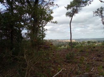 Tour Wandern Saint-Pardoux-et-Vielvic - Belvès 16km - Photo