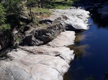 Tour Wandern Saint-Romain-d'Ay - Saint-Romain-d'Ay petite boucle - Photo