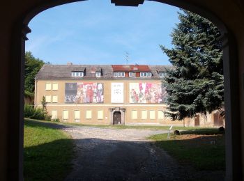 Randonnée A pied  - Wanderweg Ernsee-Hammelburg-Stadtwald - Photo