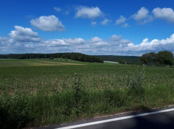 Tour Wandern Diekirch - DIEKIRCH _ Marche Militaire Luxembourgeoise _ Jour 2 - Photo