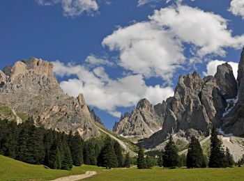 Tour Zu Fuß Wolkenstein - IT-525 - Photo