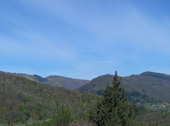 Percorso Marcia Saint-André-de-Valborgne - Col du Salidès  - Photo