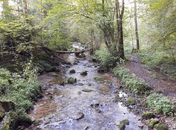 Tour Zu Fuß Aeugst am Albis - Habersaat - Aegst a.A. - Photo