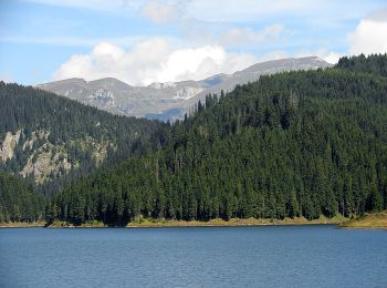 Trail On foot  - Cantonul Brătei - Șaua Lucăcilă - Cabana Bolboci - Photo