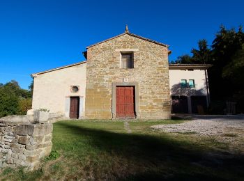 Trail On foot Panicale - Missiano - Monte Petrarvella - Panicale - Photo