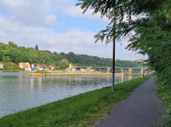 Excursión Senderismo Morsang-sur-Seine - Boucle autour de Morsang / Seine par Brigitte - Photo