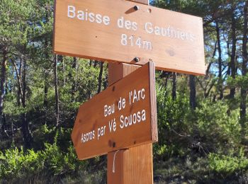 Tocht Stappen Roquestéron - Arc de Bau par Roquesteron et Cuebris - Photo