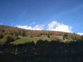 Trail Walking Kirchberg - Sommerseitkids - Photo