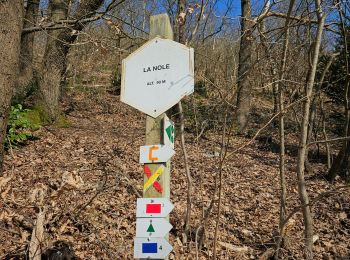 Excursión Senderismo Chaudfontaine - Tour de Chaudfontaine  - Étape 1 - Photo