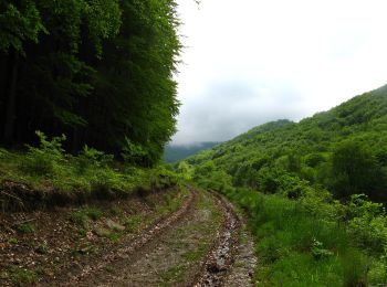 Tocht Te voet Bernecebaráti - S+ (Bernecebaráti) - Photo