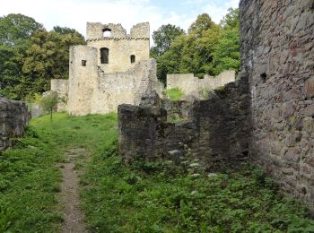 Percorso A piedi Stamsried - Rundwanderweg Muehlberg - Photo