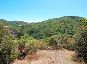 Tour Zu Fuß Volterra - Monte Nero e la gola del torrente Strolla - Photo