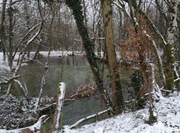 Trail Walking Maraye-en-Othe - Les Boulins - Photo