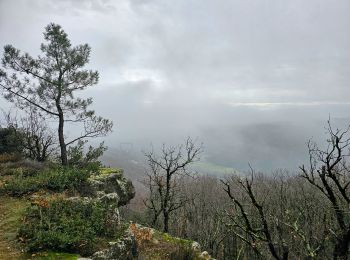 Tour Wandern Saint-Georges-les-Bains - Saint Georges les Bains - Photo