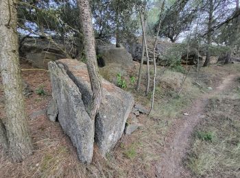 Trail Walking Laure-Minervois - Oui mon Capitelle ! 4 niveaux possibles - Photo