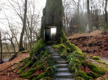 Percorso A piedi Leichlingen - Naturfreundeweg Leichlingen - Photo