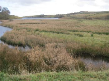 Randonnée A pied  - Pennine Way (Tan Hill to Yetholm) - deviation near Baldersdale - Photo