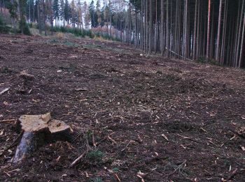 Excursión A pie Slatinky - NS Velký Kosíř II - Photo