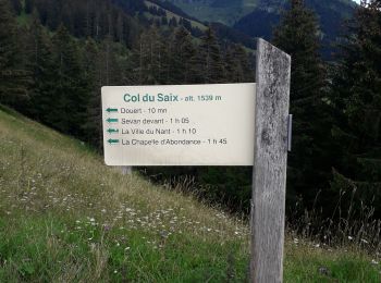 Tour Wandern Châtel - Petit Chatel - Photo