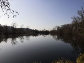 Randonnée Marche Oisy-le-Verger - étang d'oisy le verger - Photo