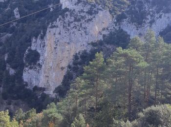 Trail Walking Axat - Sénayeurs à Axat et bois de la fage - Photo