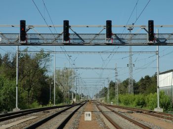 Tour Zu Fuß Bisenz - NS Váté písky - Photo