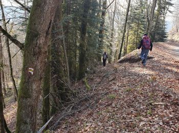 Tocht Stappen Confolent-Port-Dieu - Confolent et Monestier - Photo