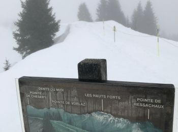 Excursión Raquetas de nieve Morzine - Avoriaz-Zorre-Avoriaz-10km-2h30 - Photo