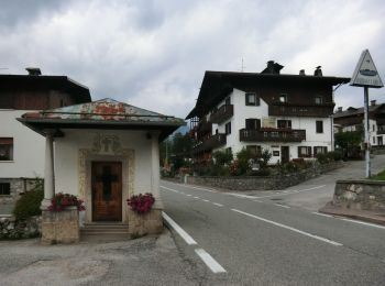 Tocht Te voet Lorenzago di Cadore - IT-207 - Photo