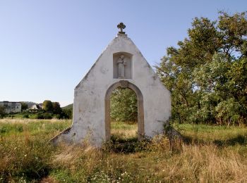 Tocht Te voet Gemeinde Purbach - Purbach - Donnerskirchen - Wilder Jäger - Photo