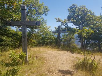 Tour Wandern Bonneville - Chemin de Croix d'Orgevat par Le Reyret - Photo